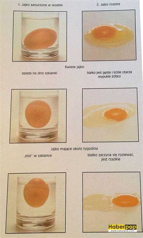 bozuk yumurta testi